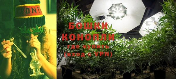 ПСИЛОЦИБИНОВЫЕ ГРИБЫ Нязепетровск